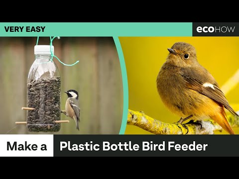 How to make a Bird Feeder from a Plastic Bottle