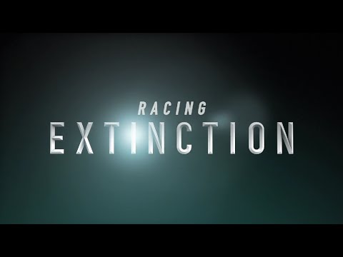&quot;Racing Extinction&quot; Official Trailer