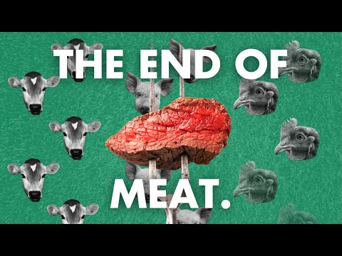 Veganism could save the planet. Here&#039;s why.