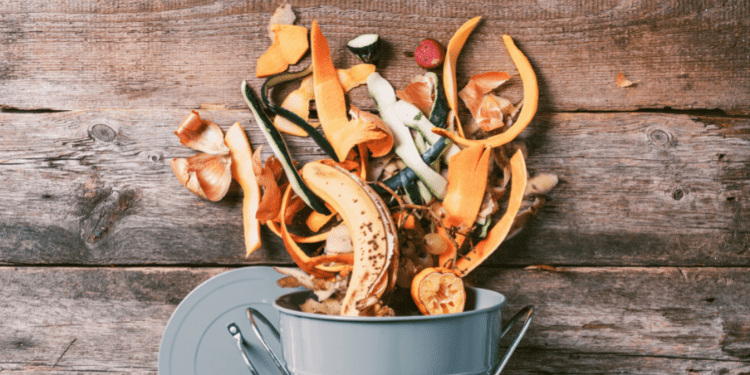 The BEST Compost Bins For An Apartment - Almost Zero Waste