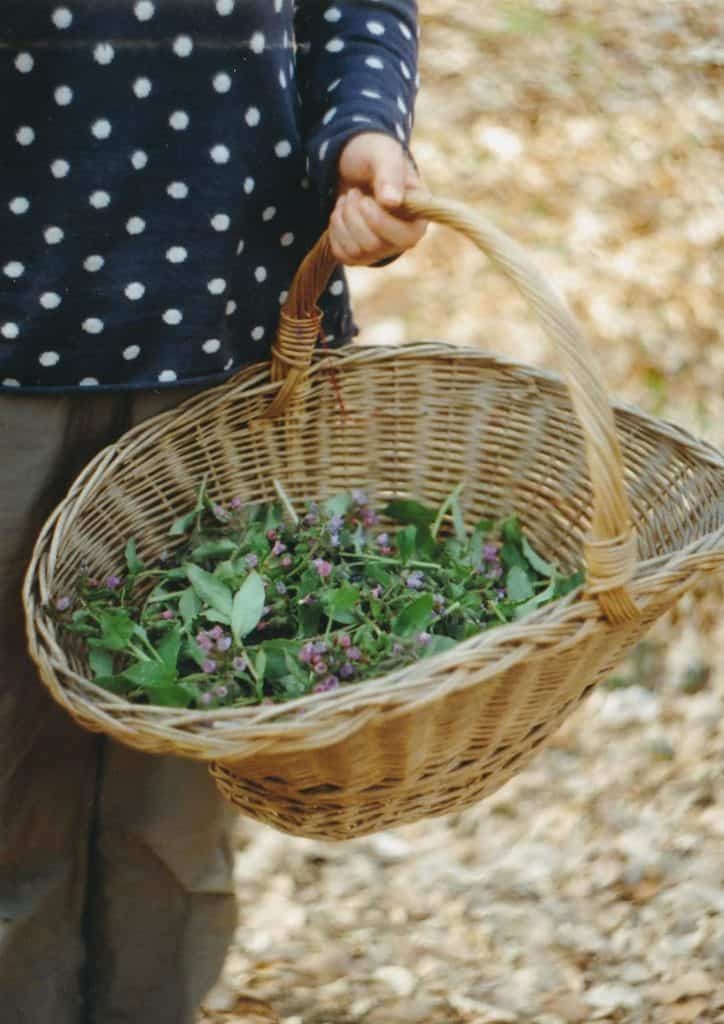 Foraging adventure