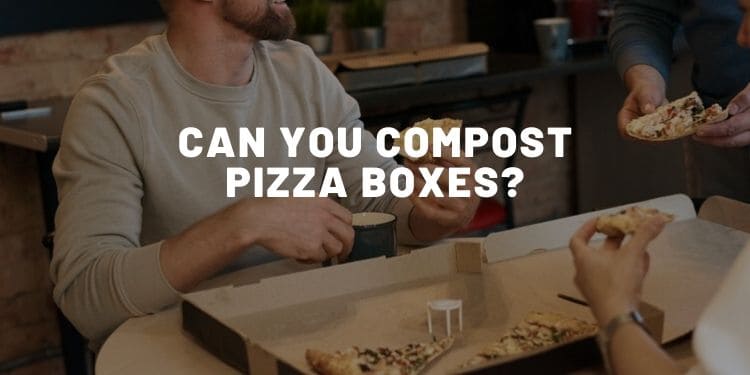 Can You Compost Pizza Boxes?