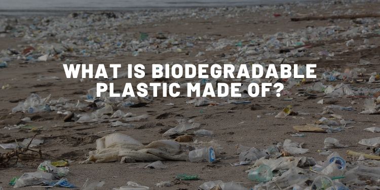 What Is Biodegradable Plastic Made Of?