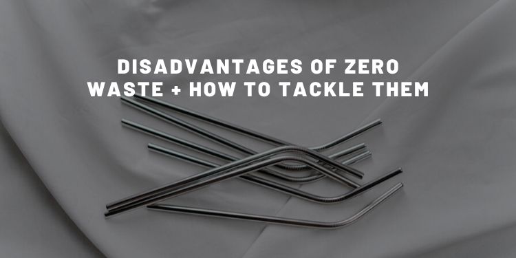 Disadvantages Of Zero Waste