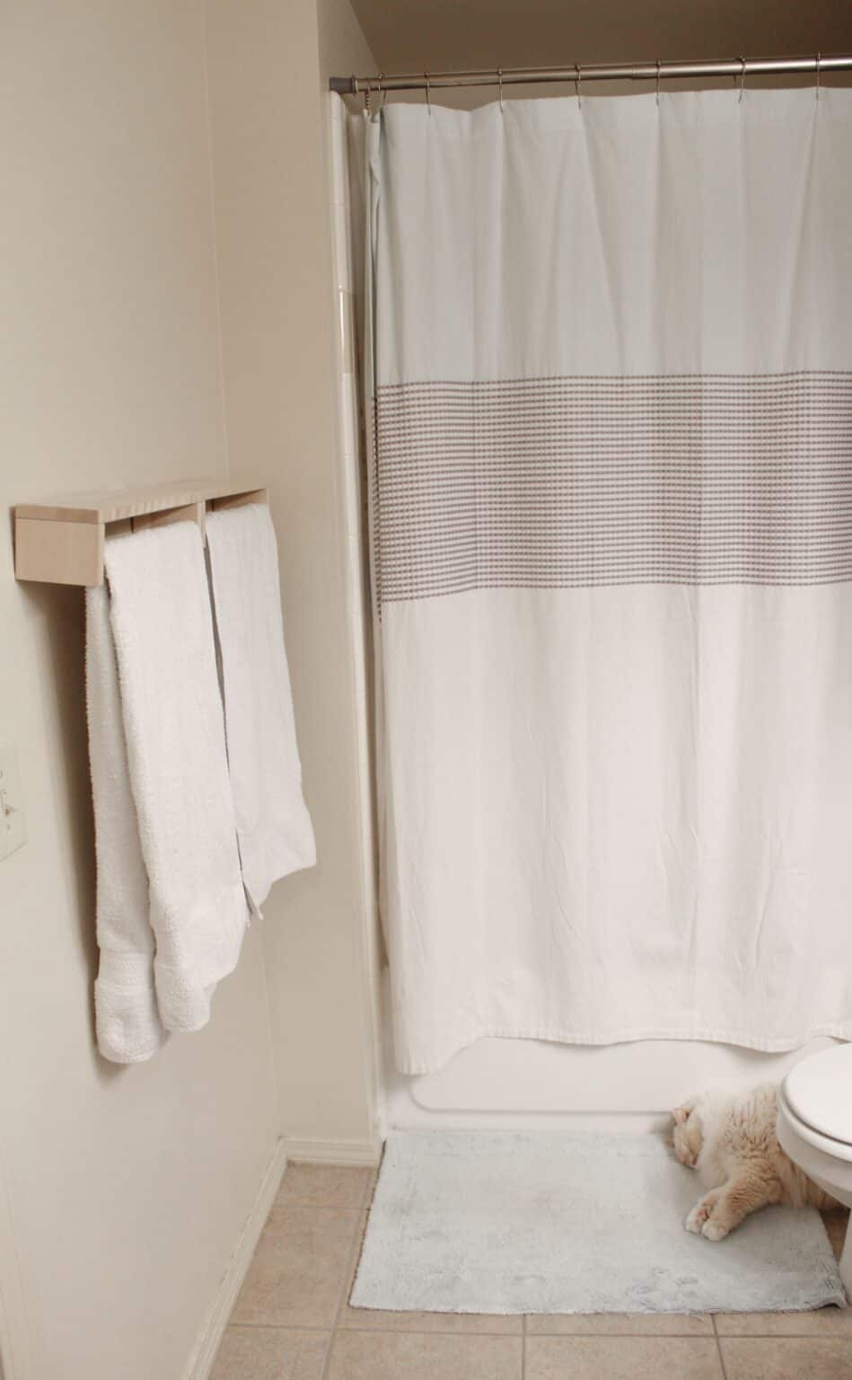 Zero Waste Shower Curtain 9 EcoFriendly Options (2021)