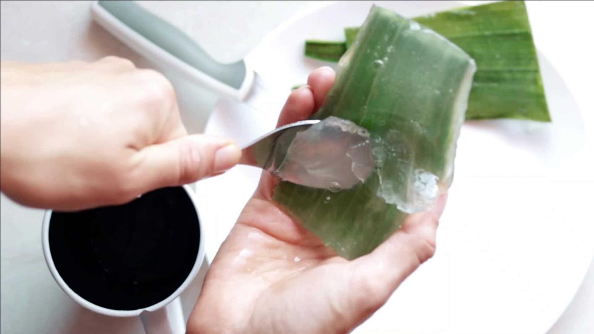 Natural Aloe Vera Mouthwash Recipe Almost Zero Waste
