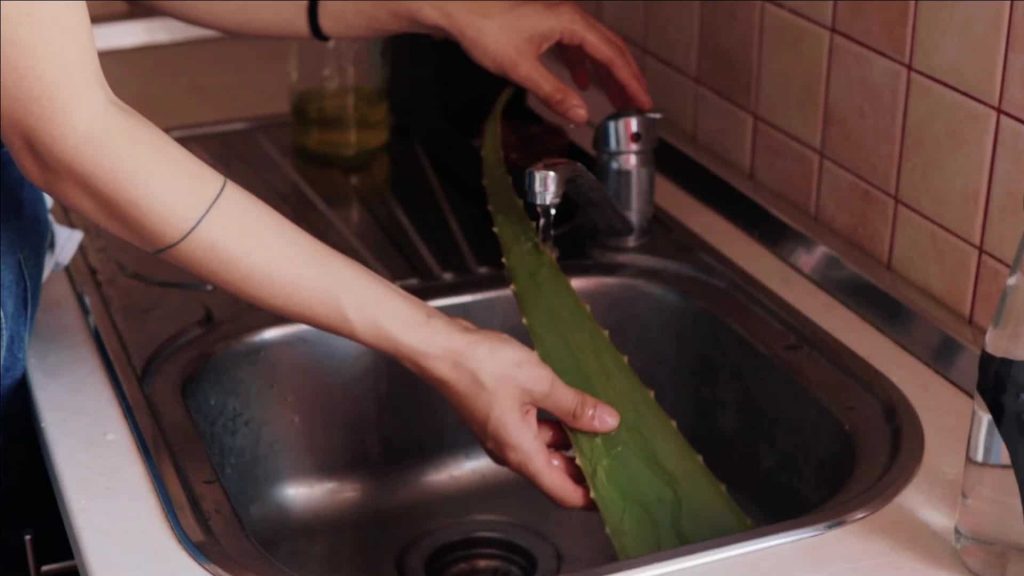 how to make aloe vera mouthwash