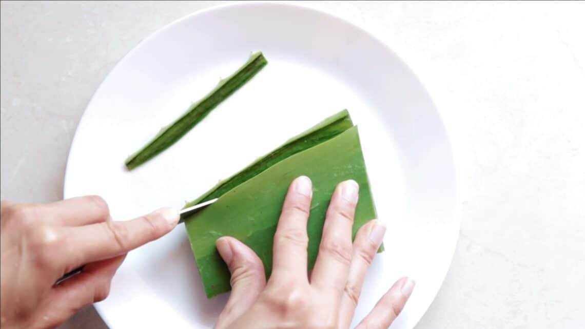 Natural Aloe Vera Mouthwash Recipe Almost Zero Waste