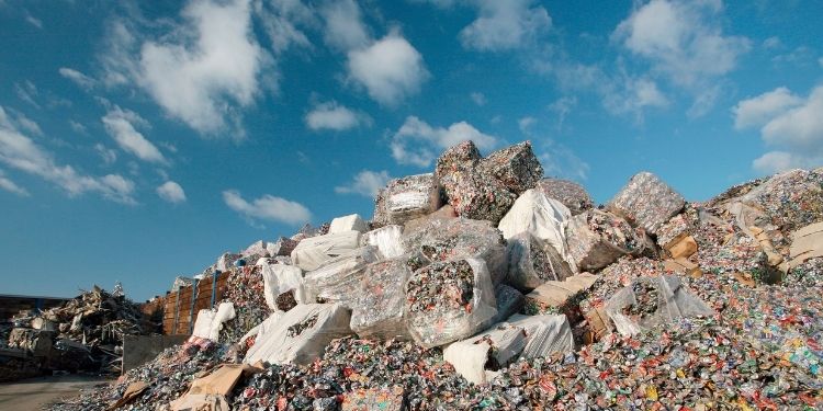 8 Waste Disposal Problems & 8 Fantastic Solutions (2024)