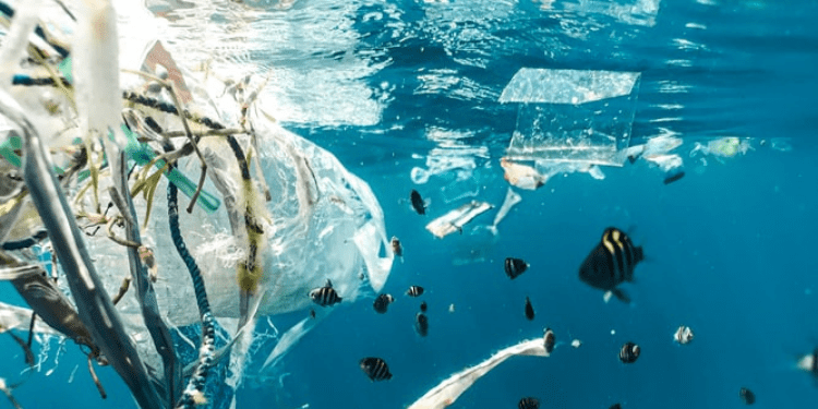 How To Stop Plastic Pollution In The Ocean: 7 Ways - Almost Zero Waste