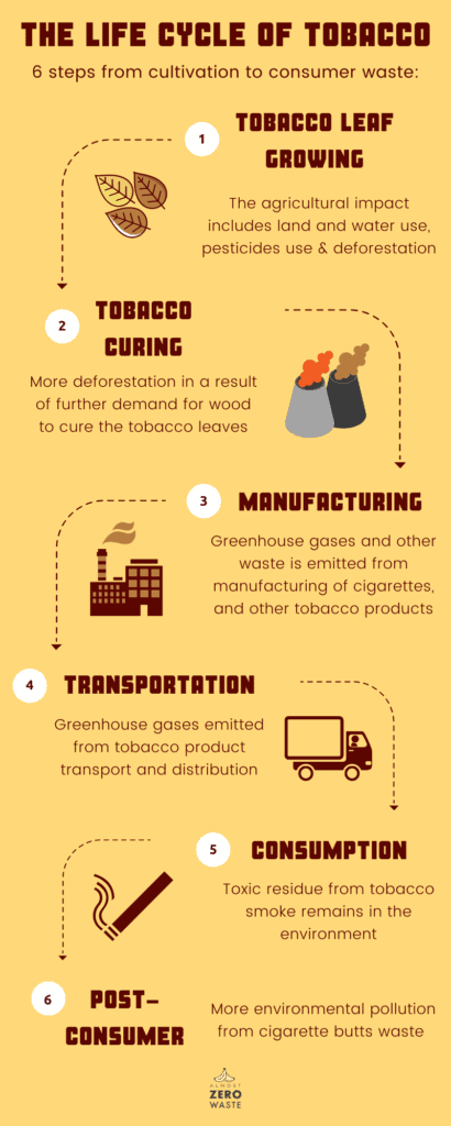 The life cycle and pollution of tobacco (Infographic) - Almost Zero Waste
