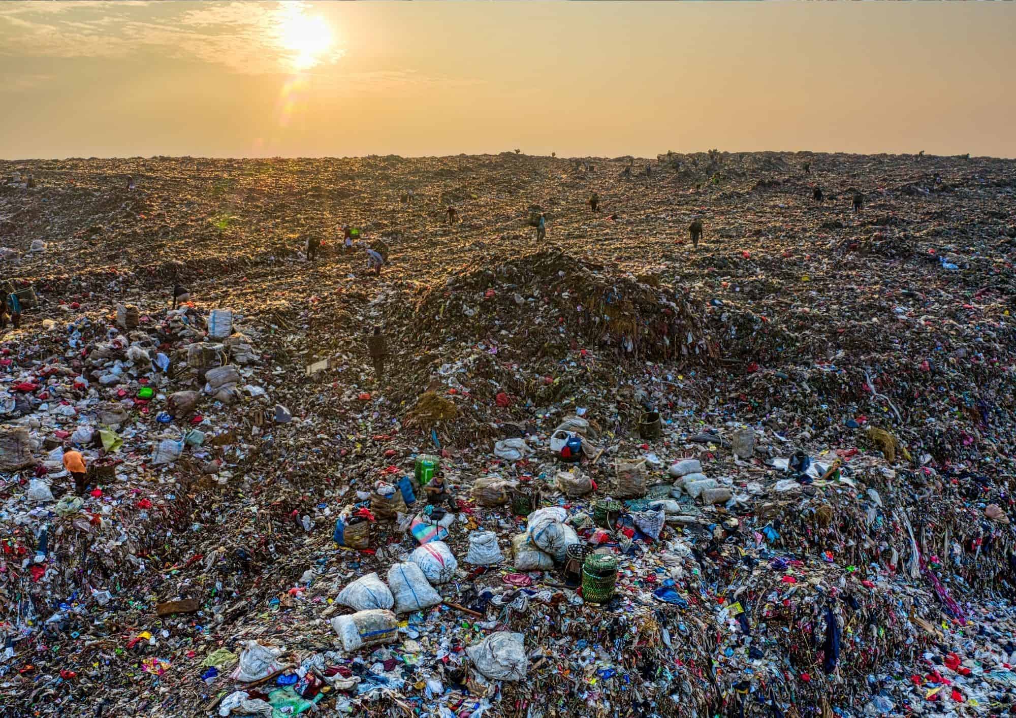 Why Is Recycling Good for the Environment 7 Reasons To Recycle (2022)