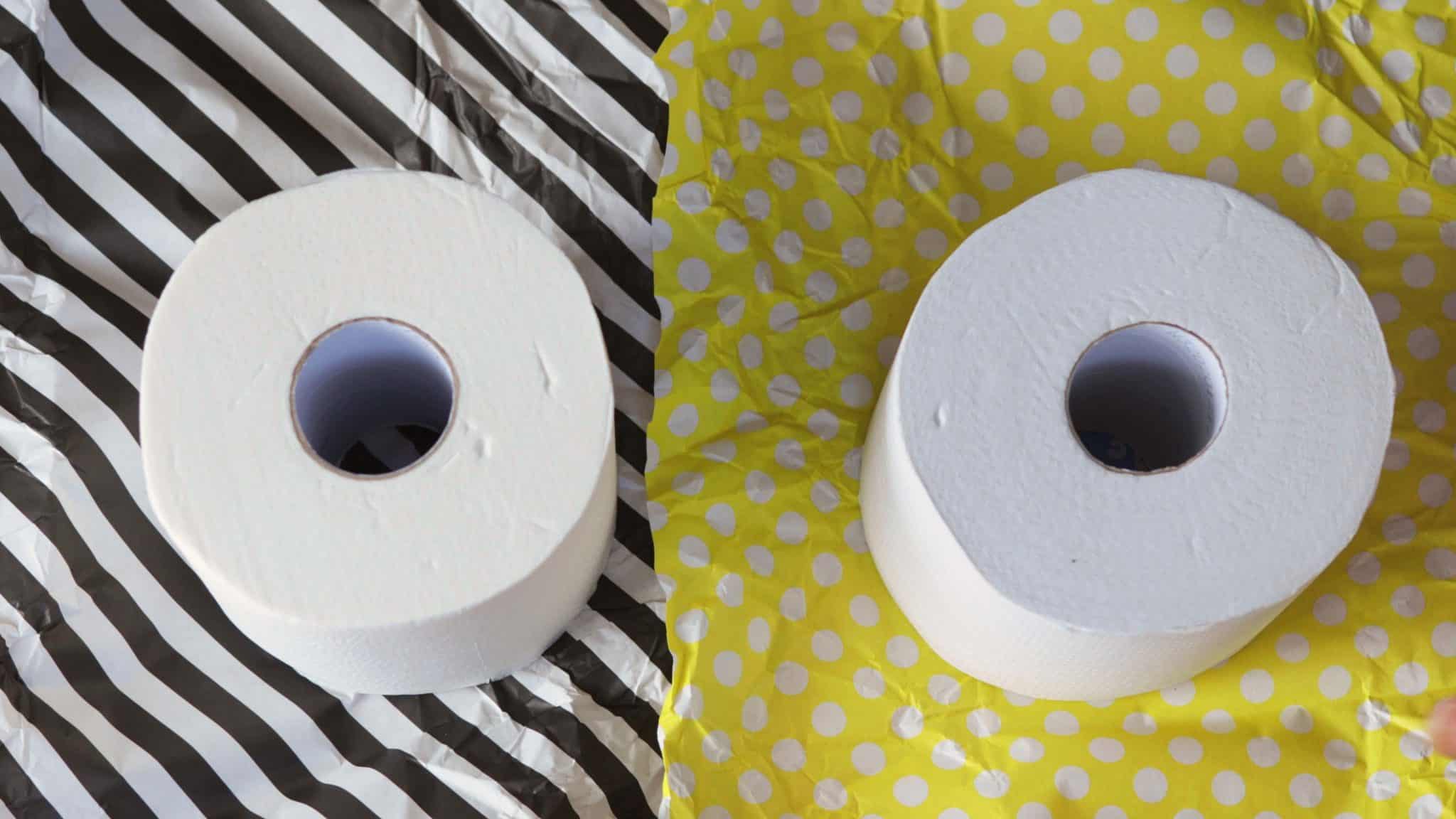 Who Gives A Crap Recycled & Bamboo Toilet Paper (Review)