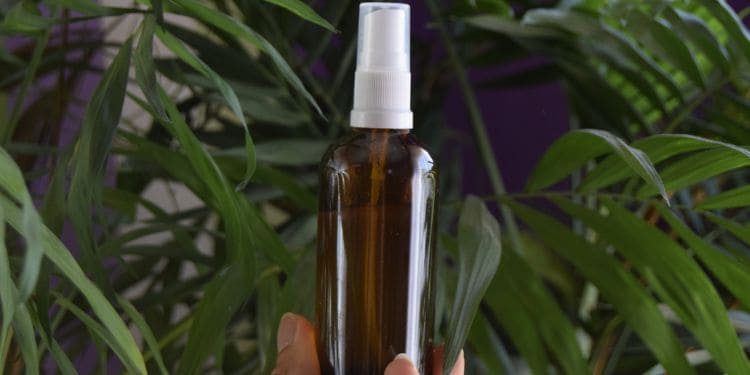 Easy DIY Mosquito Repellent With Vinegar & Essential Oils