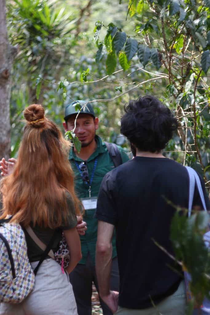 coffee tour in Guatemala
