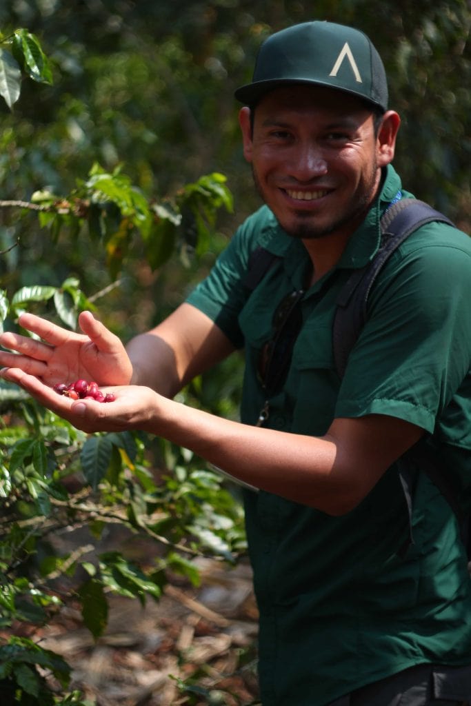 coffee tour in Guatemala