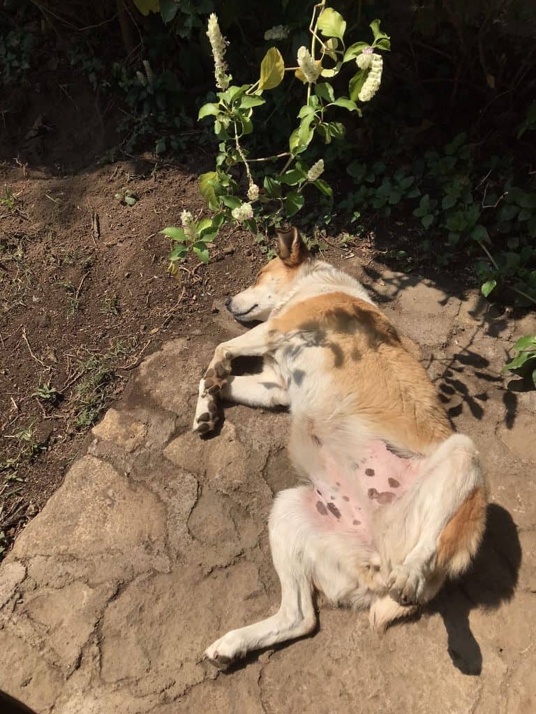 sustainable travel Guatemala