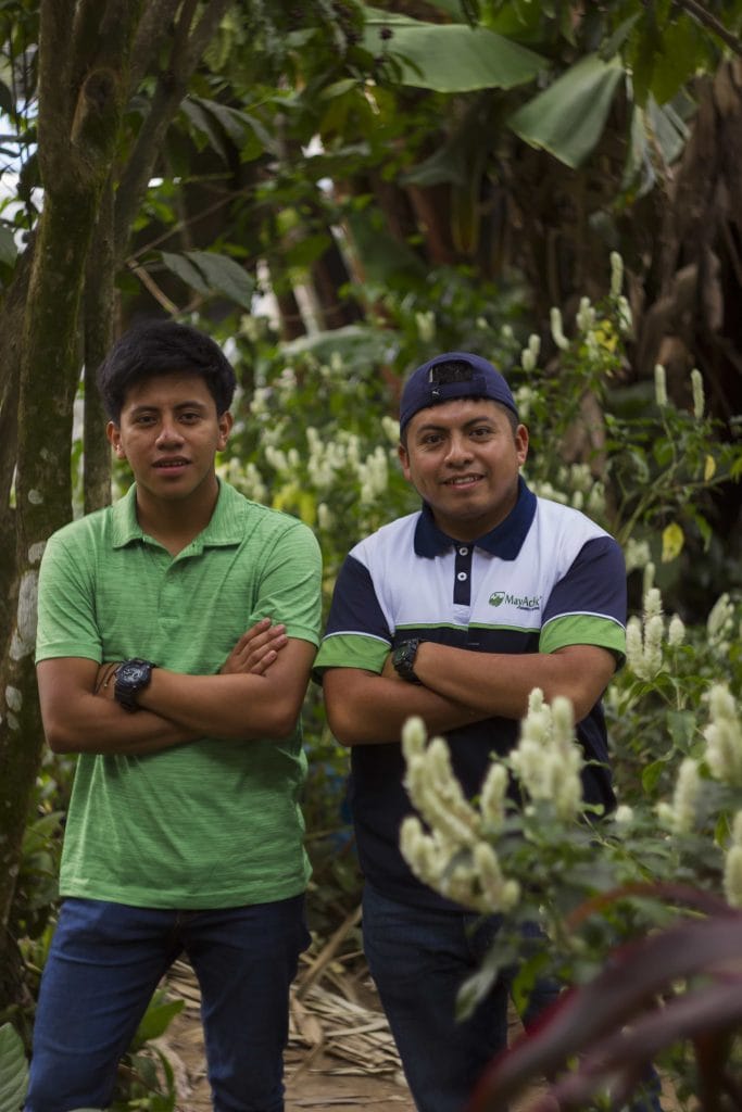 work exchange Guatemala,Mayachik Eco Resort,sustainable travel Guatemala,eco hotel Lake Atitlán